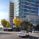 지혜샘정신건강의학과의원 이미지