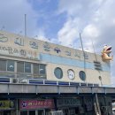 대천항수산시장 | 보령 대천항 회포장 대천항수산시장 녹도수산 포장 후기