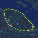 여의도온누리약국 | 노량진 수산시장 저렴하게 먹는법 (feat. 온누리결제) | 내돈내산 초장집 추천 금학식당