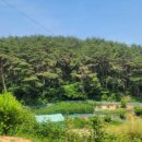 철마공인중개사사무소 이미지