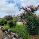 도암서원(道巖書院) 이미지