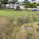 영농조합법인정원농장 이미지