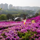 4호 공영주차장 화장실 2 이미지