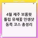 왓더플랜트 | 2026년 4월 실시간! 제주 보롬왓 튤립 유채꽃 인생샷 포토존 및 동쪽 여행 코스 완벽 정리