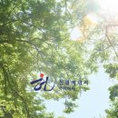 성광 태양광발전소 이미지