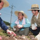 경상남도도청 이미지