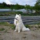 양정염포도서관 이미지