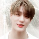 크림캔디 이미지