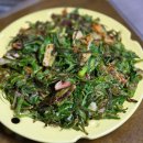 수원-이의-이의-05 | 25/05-1 환상 속의 여름 : 연밀, 행궁동, 동네서점(산아래 시/그런의미에서), 생추어리 시티