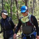 수원팔색길 여우길 이미지