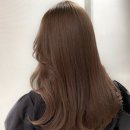 헤어라떼 이미지