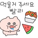 안도윤 냉동삼겹살 이미지