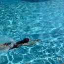 도초종합운동장 축구장 | [하남/미사 종합운동장]: 초급수영강습등록성공후기,하남종합운동장수영장등록하는법