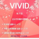 비비드홀덤펍