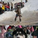 강생이네 이미지