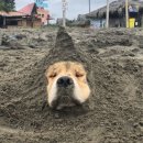 건강힐링카페 이미지