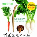 야체수프건강법 - 야채수프로 암, 당뇨병, 아토피 등을 치유한다! 이미지