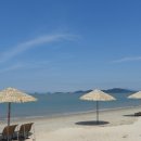 빛과 소금 이미지