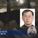 시슴 이미지