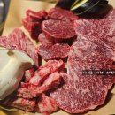여주-0213 | 2/13~2/18 / 초밥, 롯데아울렛, 티켓팅, 코바늘 뜨개 가방 완성, 한우, 카몽, 일 테노레