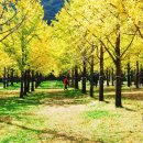 풍경힐링 이미지