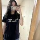 모세휠체어 이미지