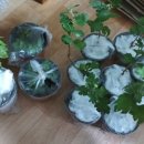 월산농장 이미지