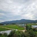 배재대학교 관광축제호텔대학원 | 강릉 2박 3일 여행(하운드호텔 강릉, 강릉중앙시장, 강릉길감자, 그리우니, 경포호, 고향산천초당순두부...