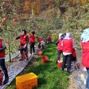 이재근농장 이미지