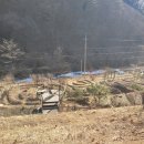 송의농장 네이버블로그