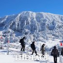 '이곳이 겨울 왕국'…제주 한라산 '만설 장관' [TF사진관] 이미지