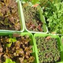 구로농장 이미지