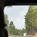 🇺🇸 #8 | 캐년투어 2일차🏞️ / 파월호수, 홀스슈밴드, 앤텔로프캐년, 그랜드캐년, 66도로까지😆