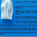 키튼코리아 이미지