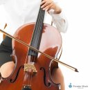첼로 중급(성인) 이미지