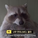 서희원꼬치닷컴 이미지