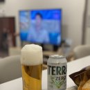 코레일유통(주)본사직영편의점 | 편의점 신상 테라 제로 무알콜 맥주맛 음료 가격 칼로리 맛