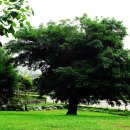 두일중학교 이미지