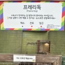 모여라 농장