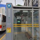 제주시청(광양방면) (광양사거리/터미널방면) 이미지