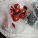 서수원농자재마트 이미지