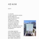 사진속으로