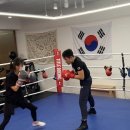 올스타 복싱클럽 이미지