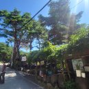 새재민박 이미지