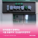 옵티마강남약국 이미지