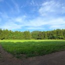 긍정바이크 | 제주 유료 체험 아이와 후기 — 레일바이크·비밀의숲·빛의벙커 솔직 비교