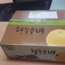 아리랑농원 이미지
