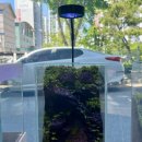 솔이끼 | 제주 숲 테라리움 [jeju forest terrarium]