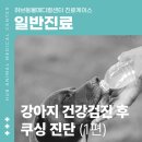 창현동물병원 이미지