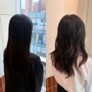 토니조 헤어살롱 | 대치동 한티역 미용실 토니앤가이 한티 도화 디자이너